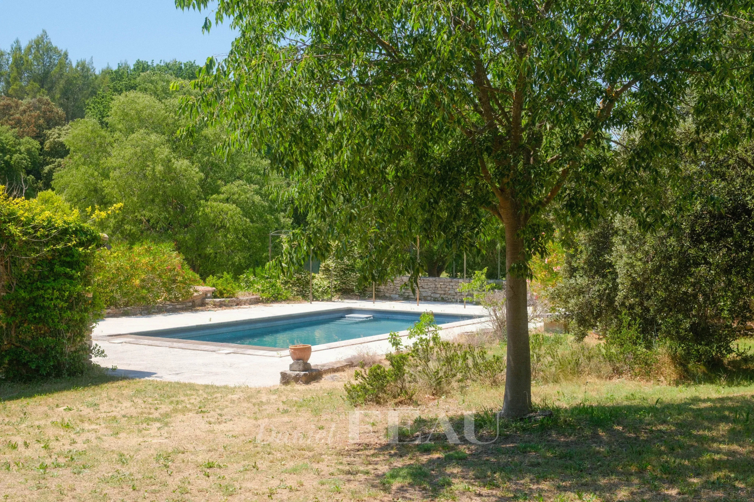 Piscine extérieure entourée de verdure dans un parc d'un hectare à Ménerbes.