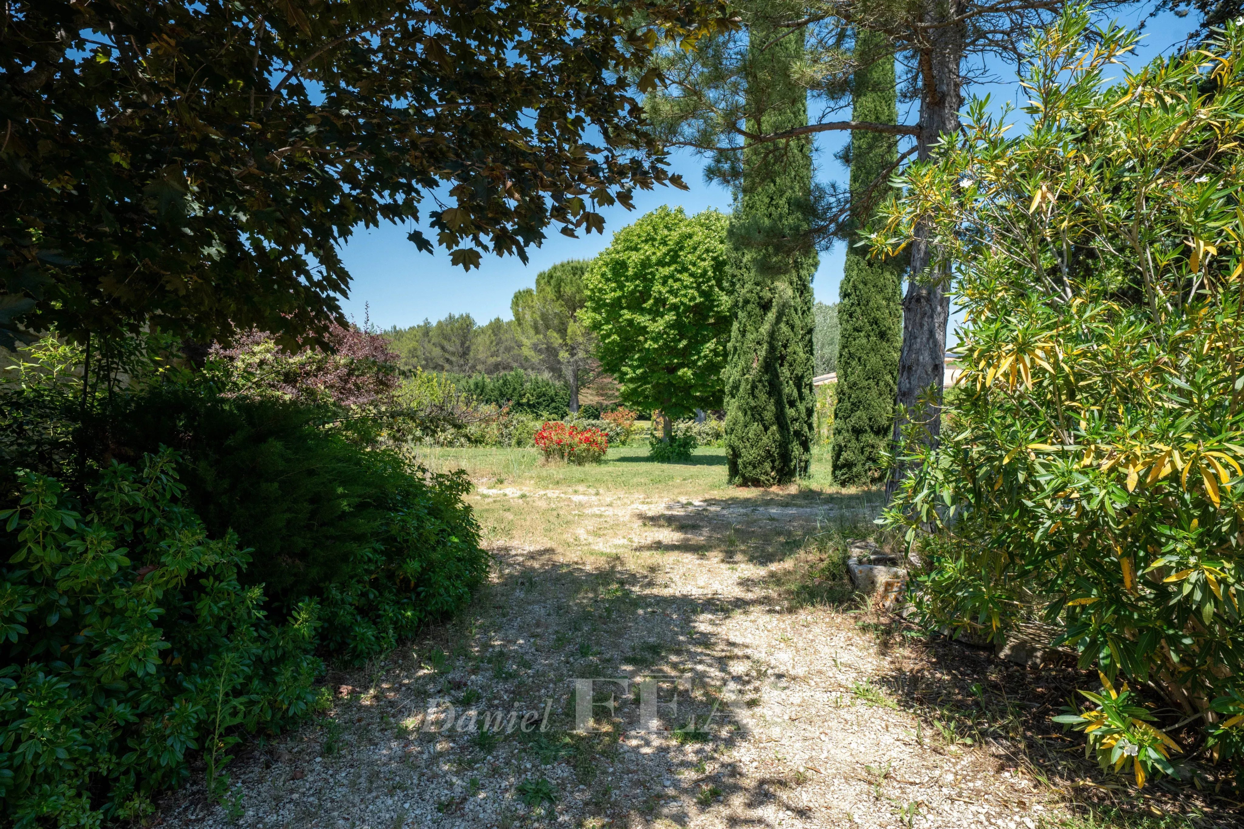 Vue d'un parc verdoyant avec des arbres et des buissons, menant à un mas du XVIIIe siècle à Ménerbes.