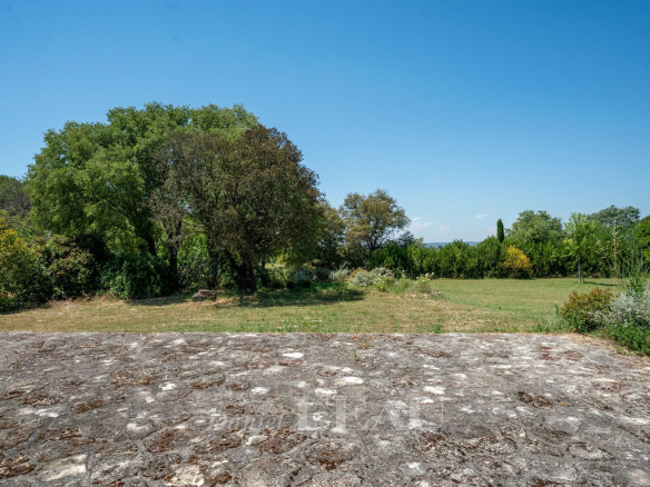 Vue dégagée sur un parc verdoyant avec des arbres et un terrain ensoleillé.