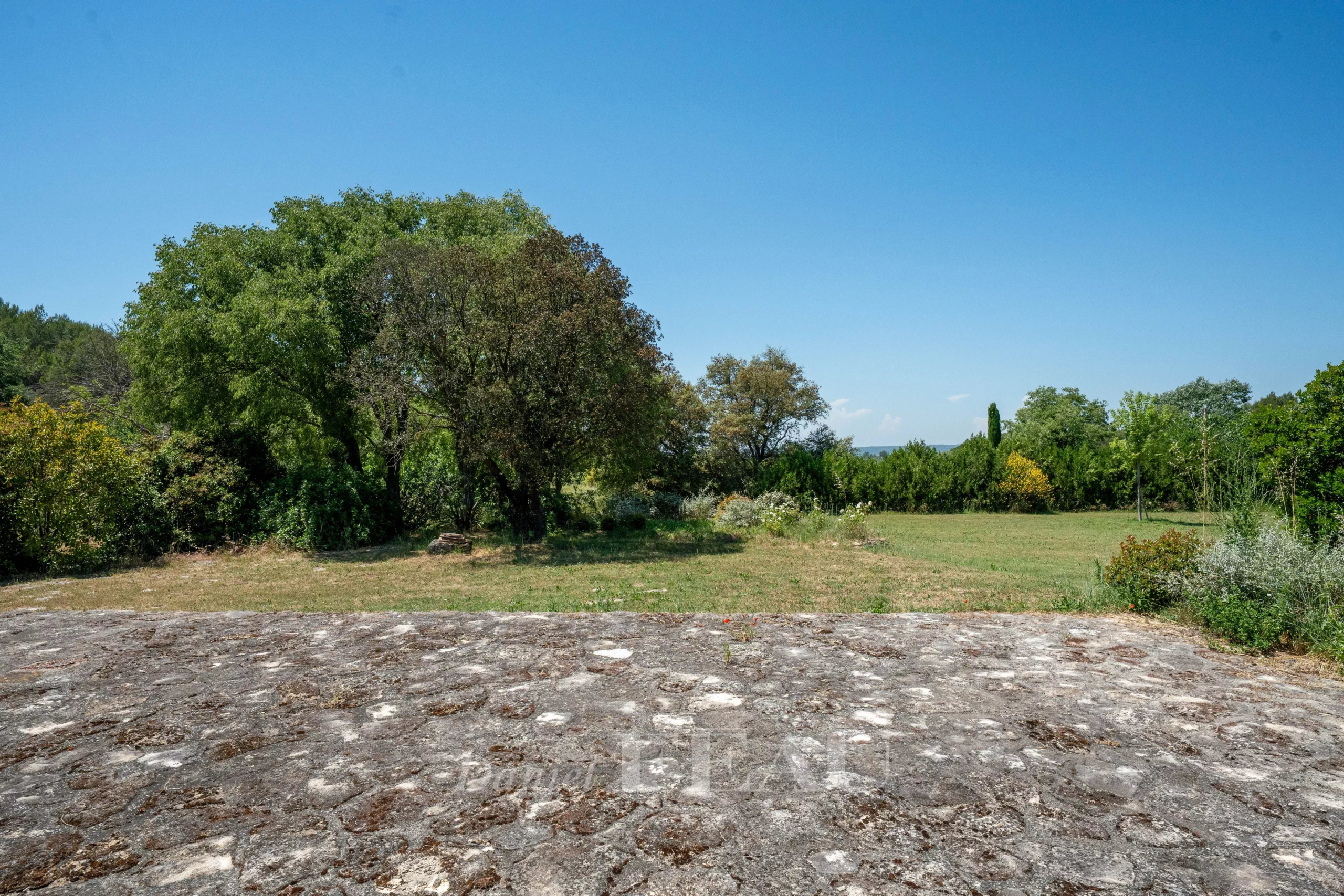 Vue dégagée sur un parc verdoyant avec des arbres et un terrain ensoleillé.