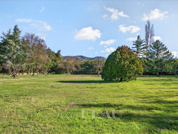 Enclosed, wooded park of a Provençal farmhouse in Cavaillon, with lawn and trees.
