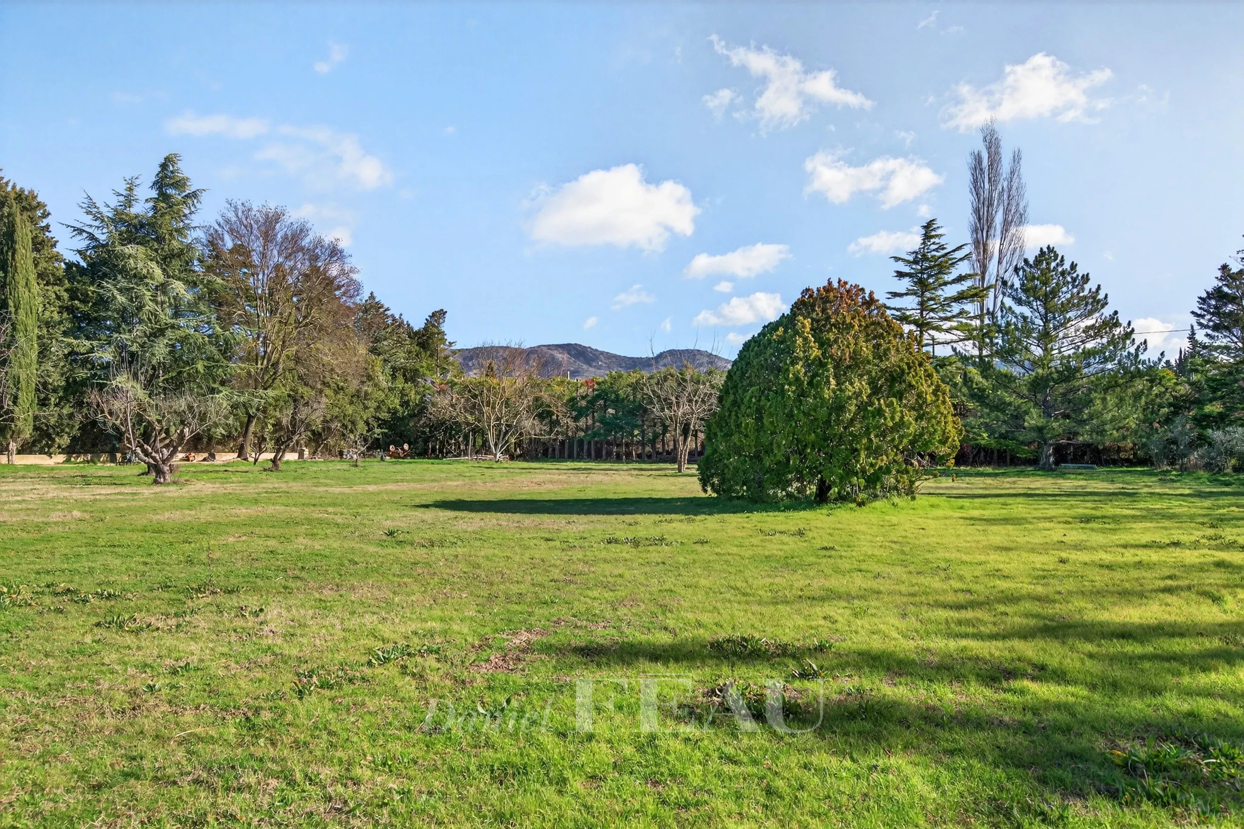 Enclosed, wooded park of a Provençal farmhouse in Cavaillon, with lawn and trees.