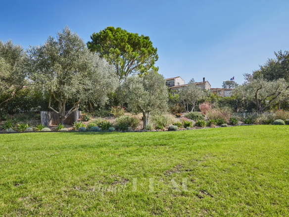 Lush garden with olive trees and Mediterranean plants, house in the background.