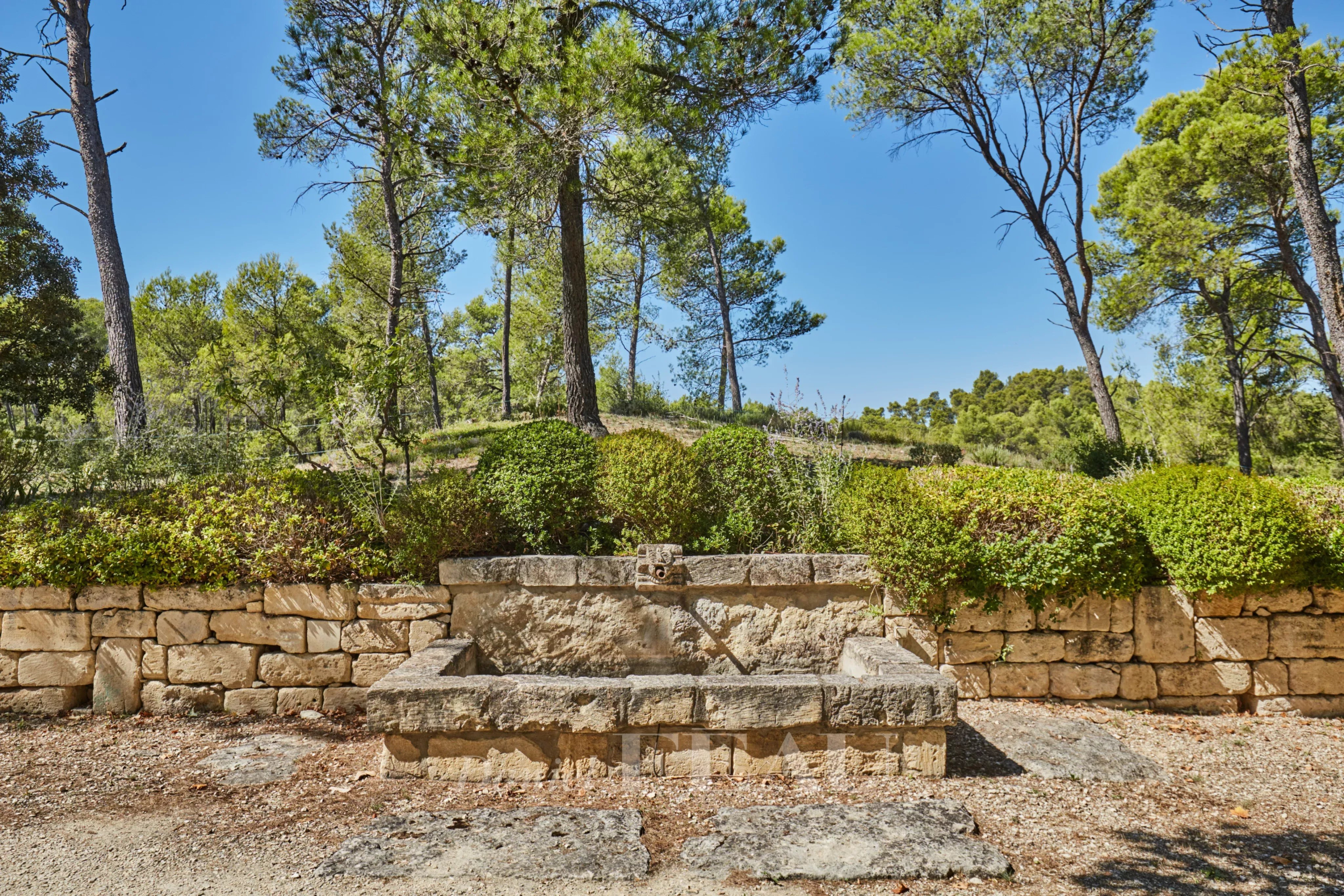 Fontaine en pierre dans un jardin paysager entouré d'arbres, à Saint-Rémy-de-Provence.