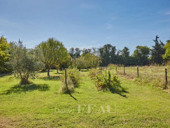 Jardin verdoyant avec arbres et clôture, près d'une ancienne ferme dans le Nord Luberon.
