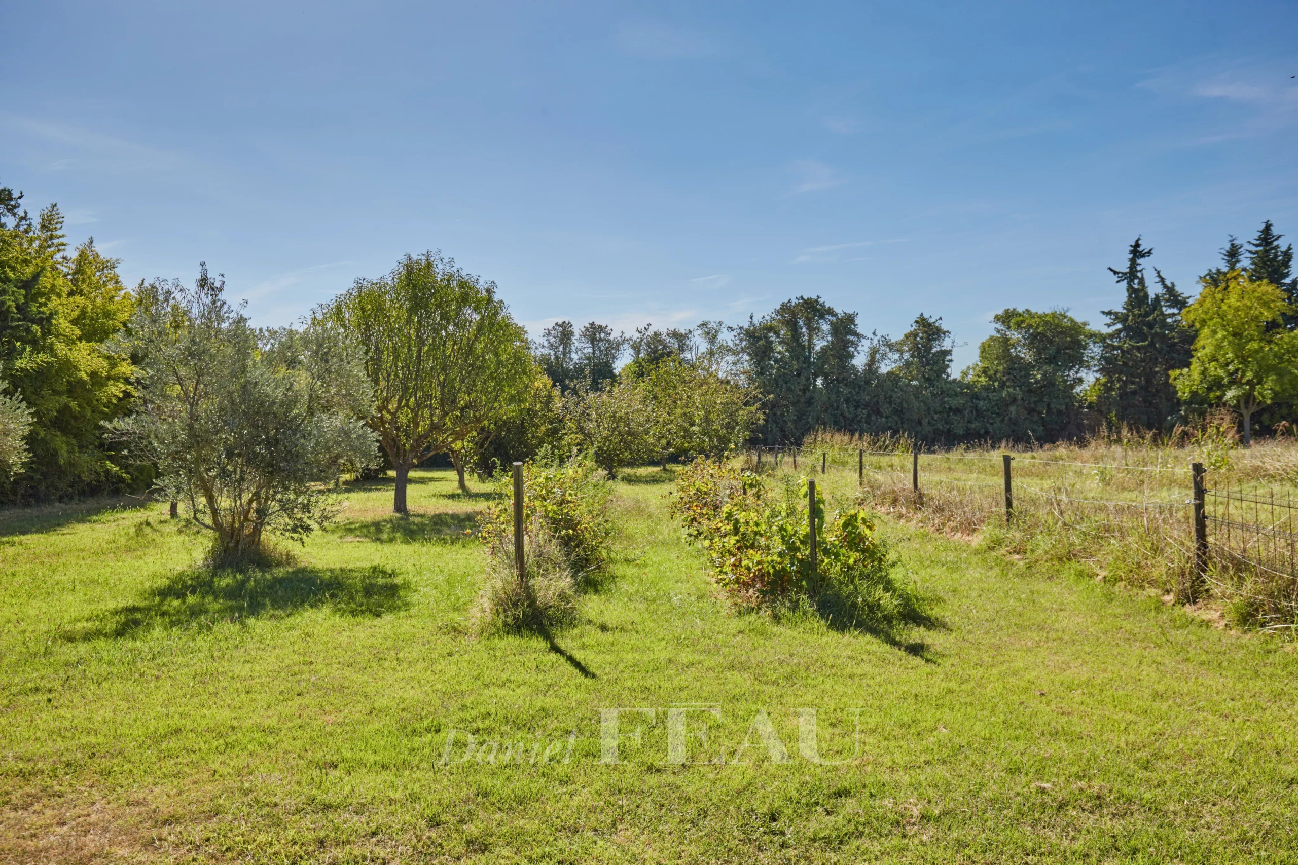 Jardin verdoyant avec arbres et clôture, près d'une ancienne ferme dans le Nord Luberon.