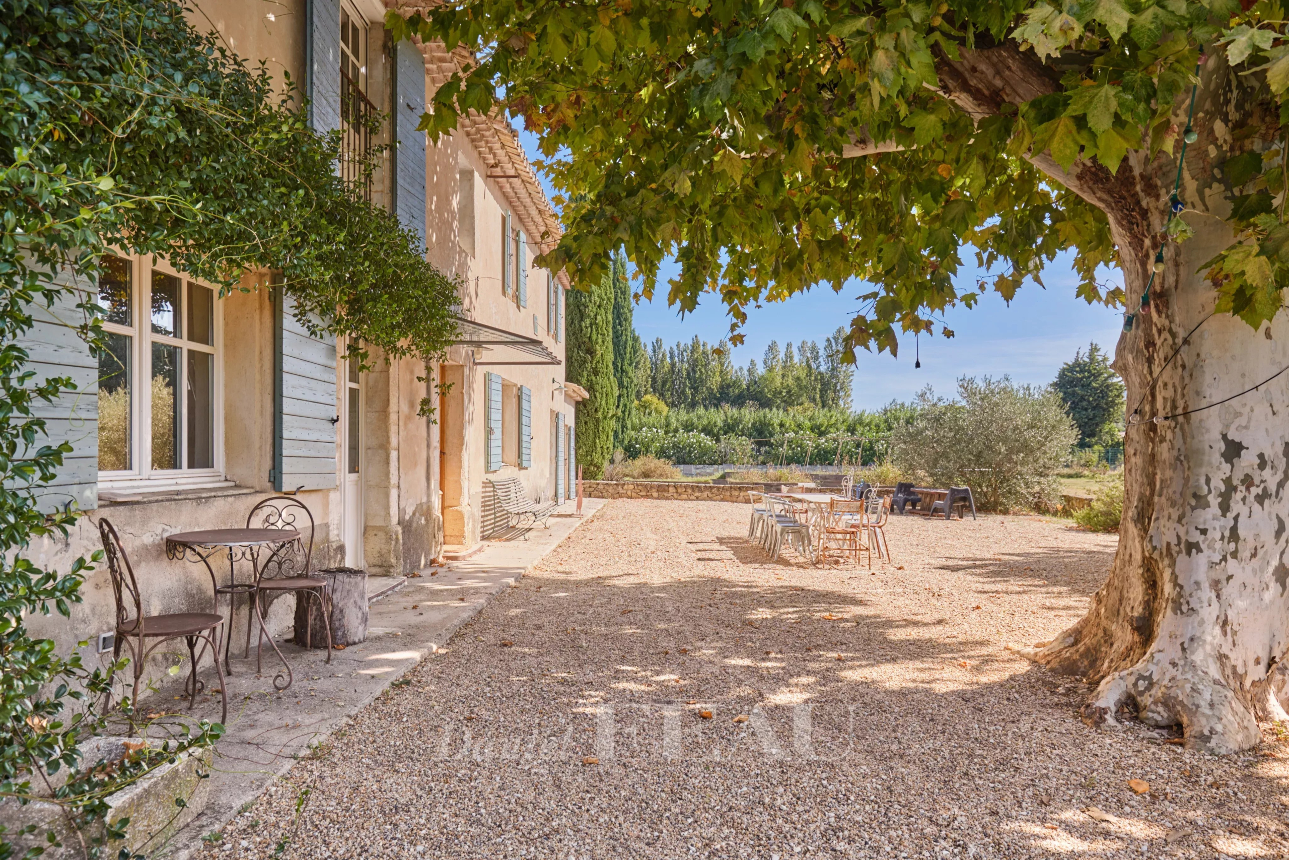 Mas provençal avec terrasse en gravier et platane centenaire à Cavaillon, Nord Luberon.
