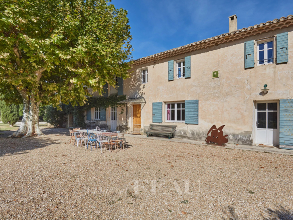 Ancienne ferme provençale à Cavaillon avec poutres apparentes et platane centenaire.