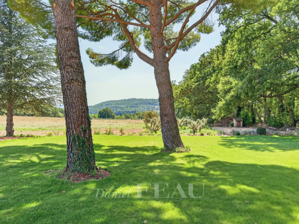 Vaste jardin avec des arbres et une vue sur les collines du Luberon à Lourmarin.