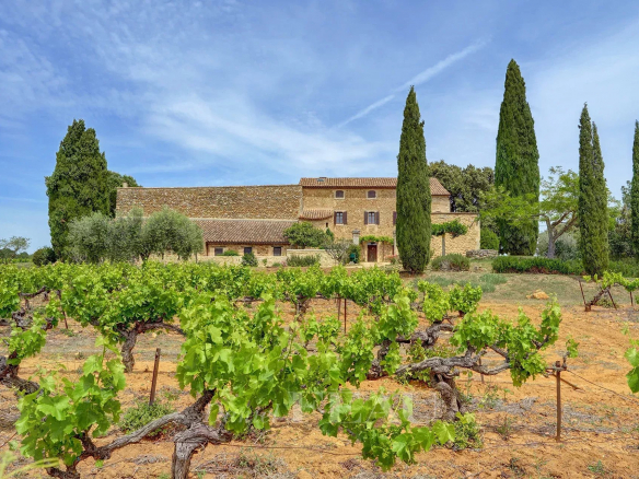 Drôme provençale – Farmhouse with vines