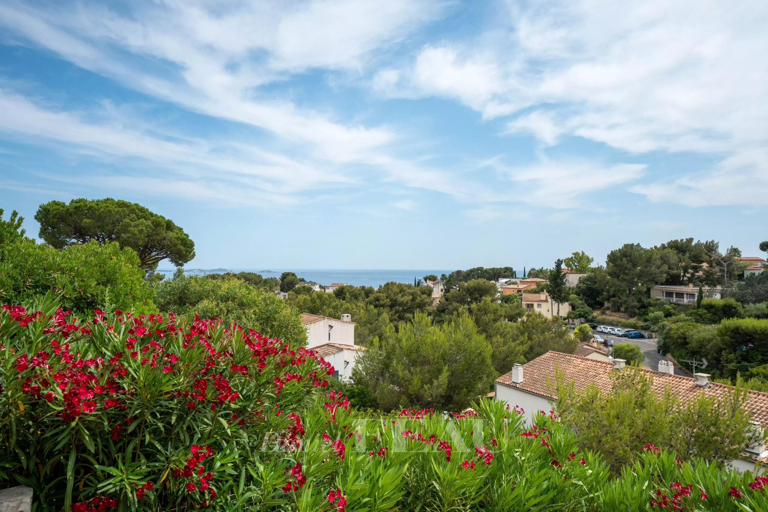 dbf00c00320bff9abe861f9359d2f094_6649da1ee7_4096-original