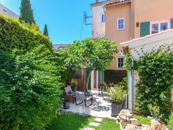 Jardin d'une maison de ville rénovée avec des plantes et des espaces de détente à Toulon Mourillon.