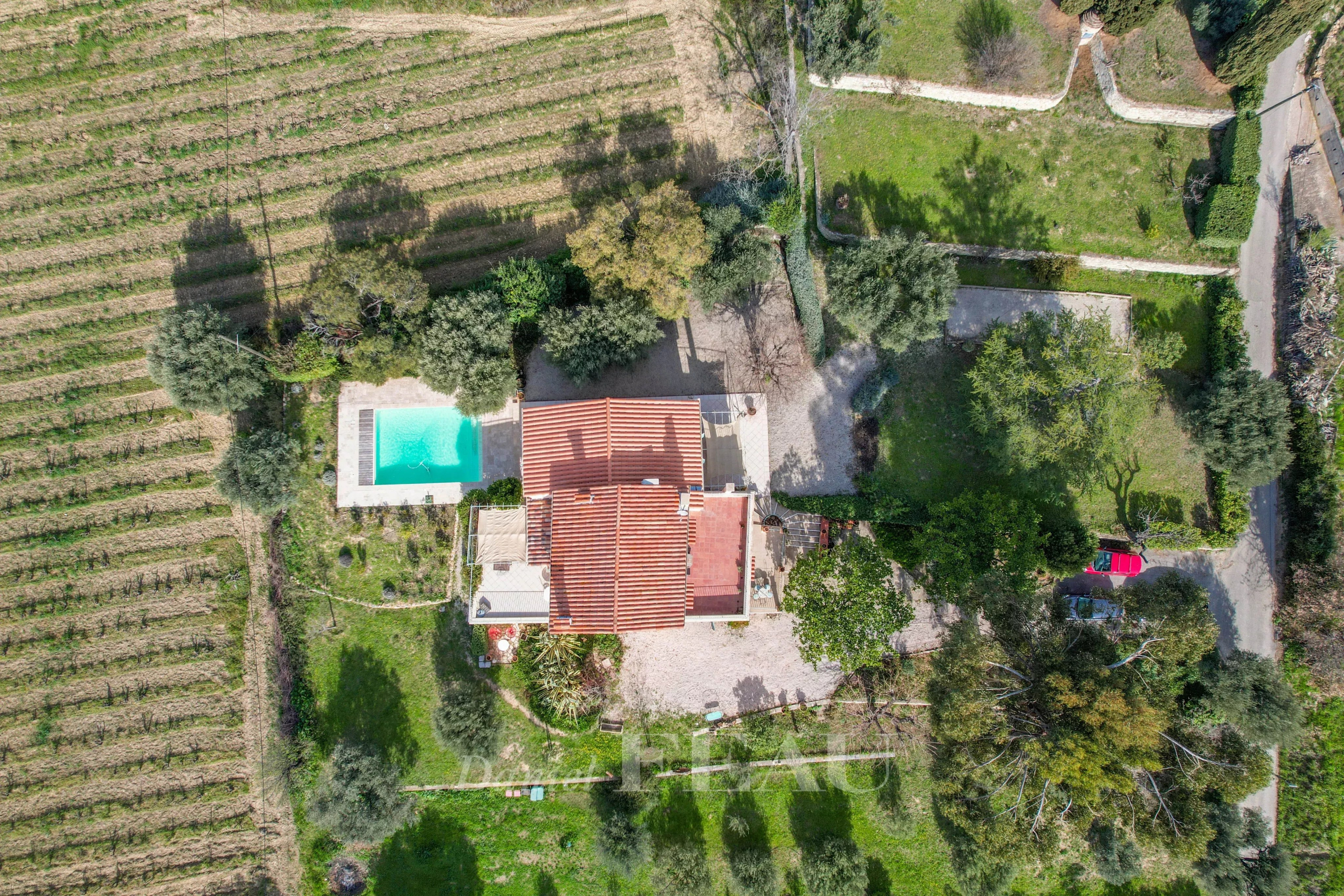 Vue aérienne d'une maison de caractère avec piscine, entourée de vignes au Castellet.