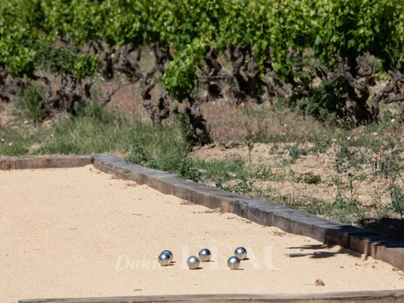 Terrain de pétanque avec boules sur un fond de vignes à Saint-Cyr-sur-Mer.