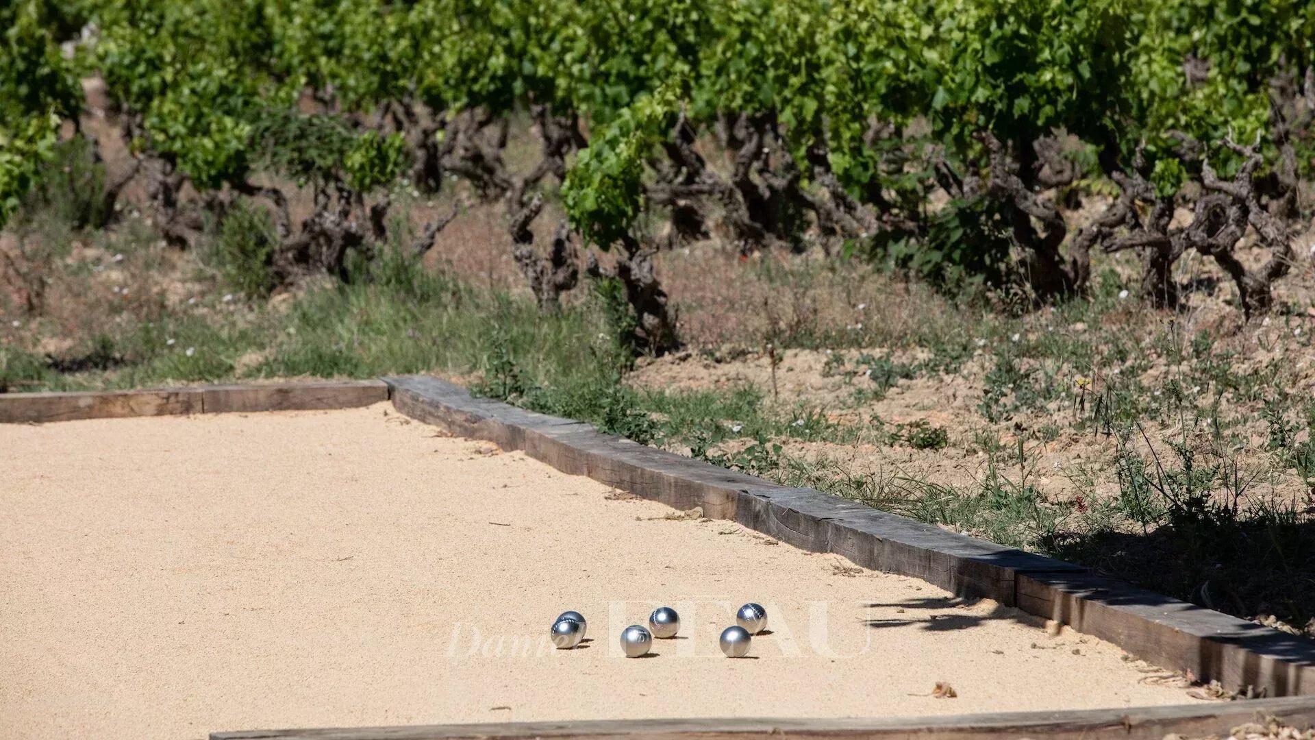 Terrain de pétanque avec boules sur un fond de vignes à Saint-Cyr-sur-Mer.