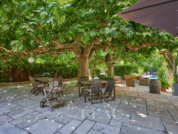 Shaded terrace with a large table and chairs under a plane tree, surrounded by greenery.