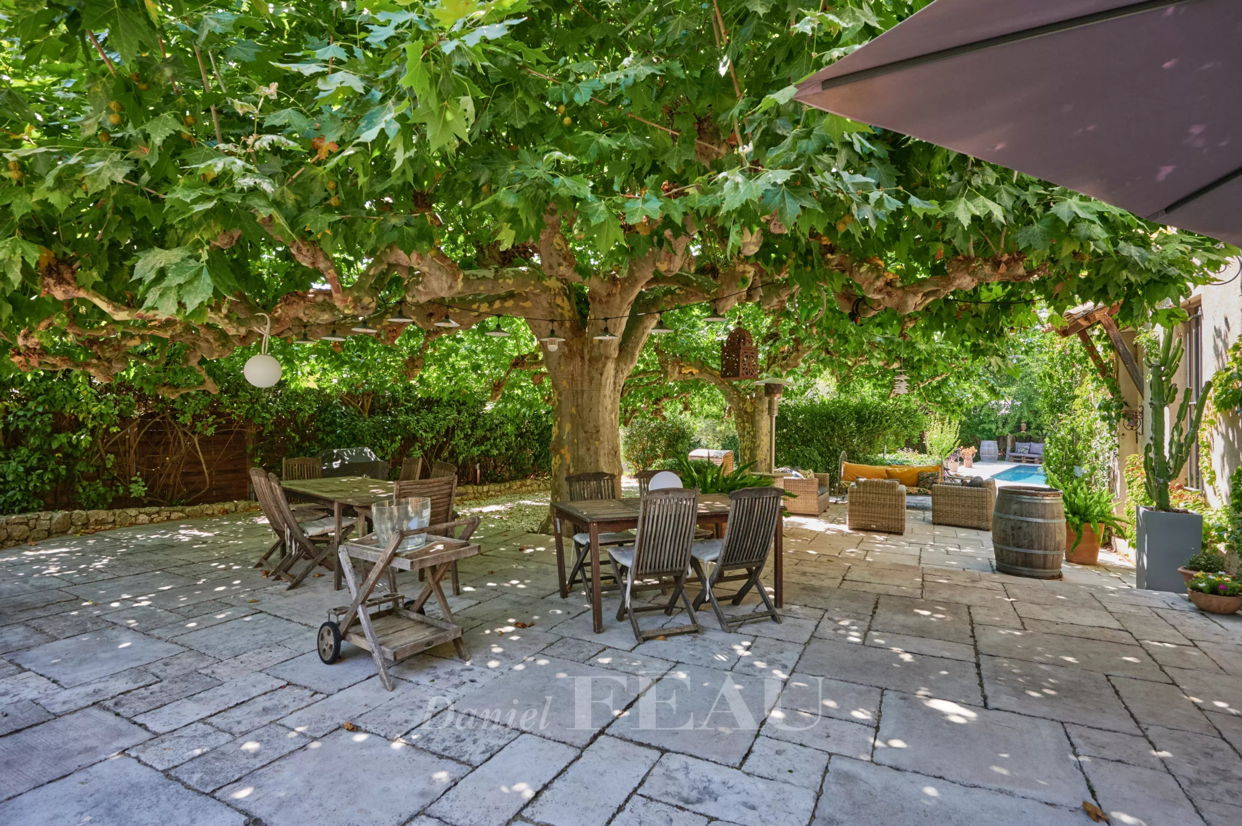Terrace of the charming house in Marseille Shaded terrace with a large table and chairs under a plane tree, surrounded by greenery.