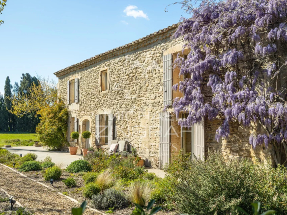 Mas provençal en pierre entouré d’oliviers