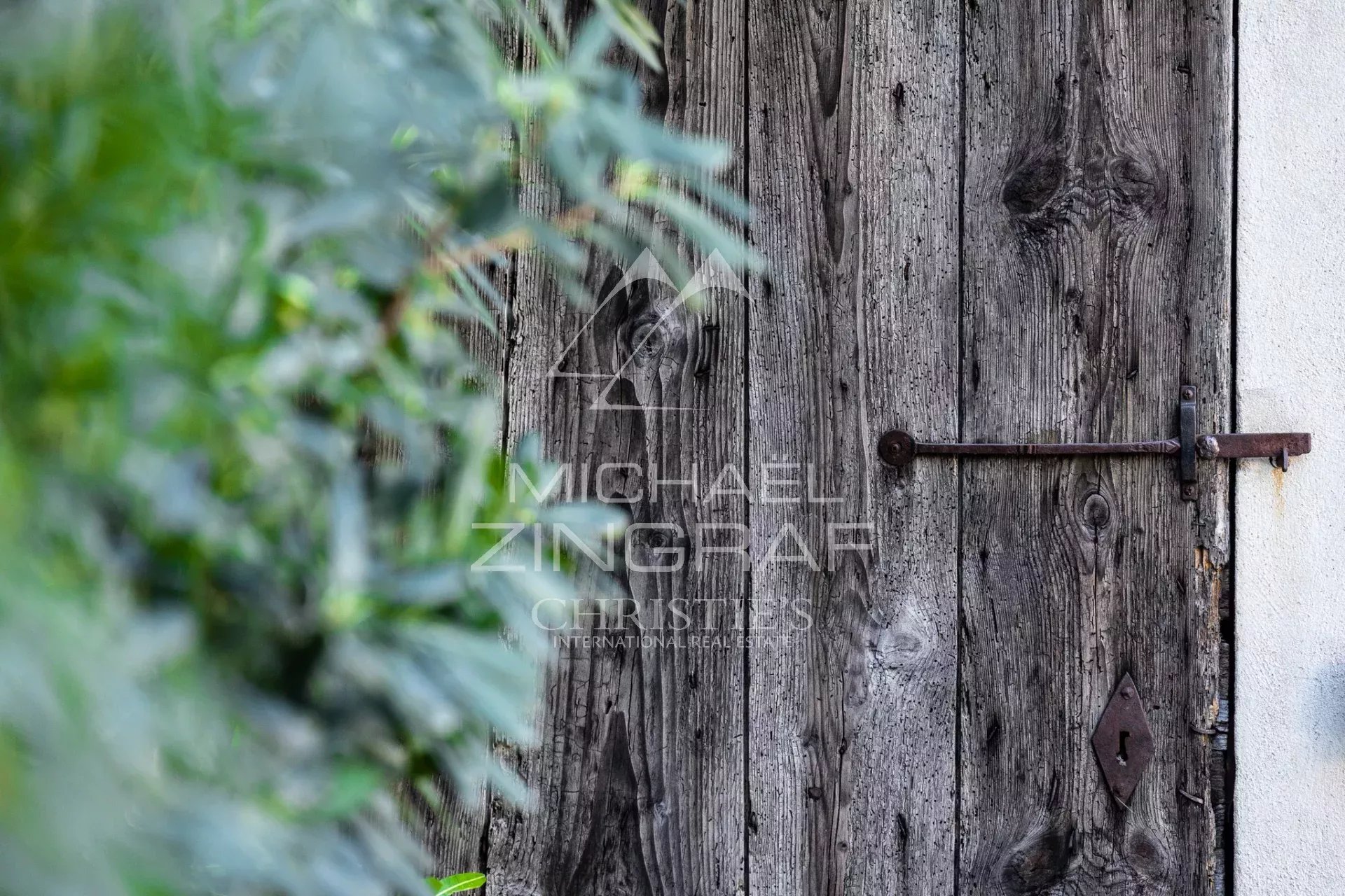 Weathered wooden door with a rusty latch, partly obscured by green ivy in the foreground.