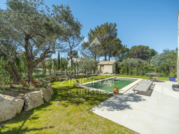 Backyard with a rectangular in-ground pool, stone edging, green lawn, and olive trees under a clear blue sky; a tiled patio with loungers on the right.