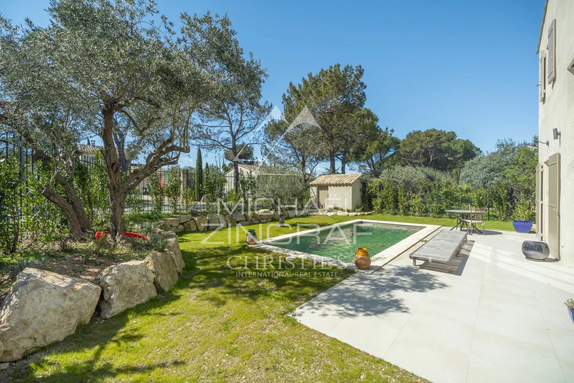 Backyard with a rectangular in-ground pool, stone edging, green lawn, and olive trees under a clear blue sky; a tiled patio with loungers on the right.