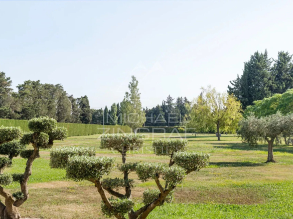 Vaste terrain arboré et clos de près de 3 hectares autour d'un mas rénové à Eyragues.
