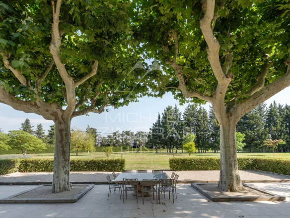 Terrasse d'un mas rénové avec des platanes et une table en plein air.