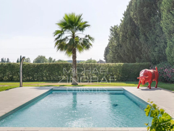 Piscine avec palmier et sculpture près d'un mas rénové à Eyragues