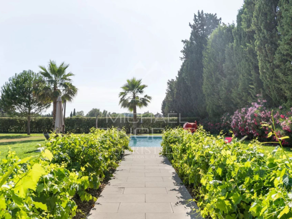Allée de vignes menant à une piscine entourée de verdure dans un mas rénové à Eyragues.