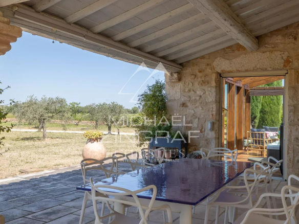 Terrace of a property with table and chairs, overlooking a garden with olive trees.