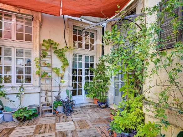 Terrasse ensoleillée d'un appartement dans un hôtel particulier du XVIIème siècle à Avignon, entourée de plantes.