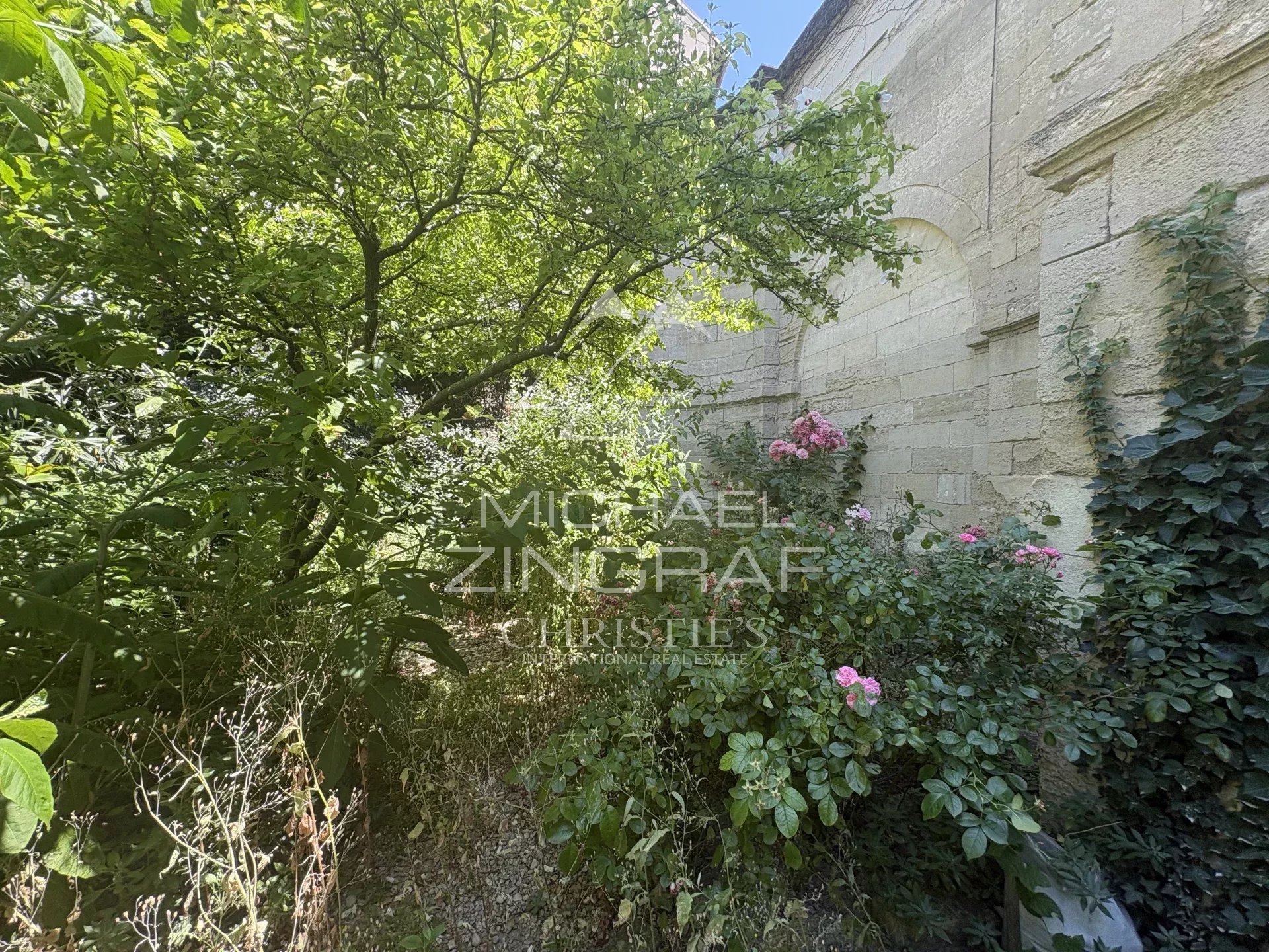 Jardin d'un hôtel particulier à rénover à Avignon, avec des plantes et des fleurs.