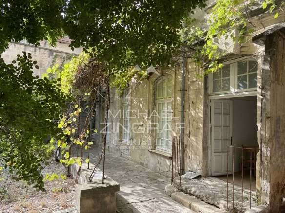 Entrée d'un hôtel particulier à rénover avec jardin à Avignon, murs en pierre et végétation