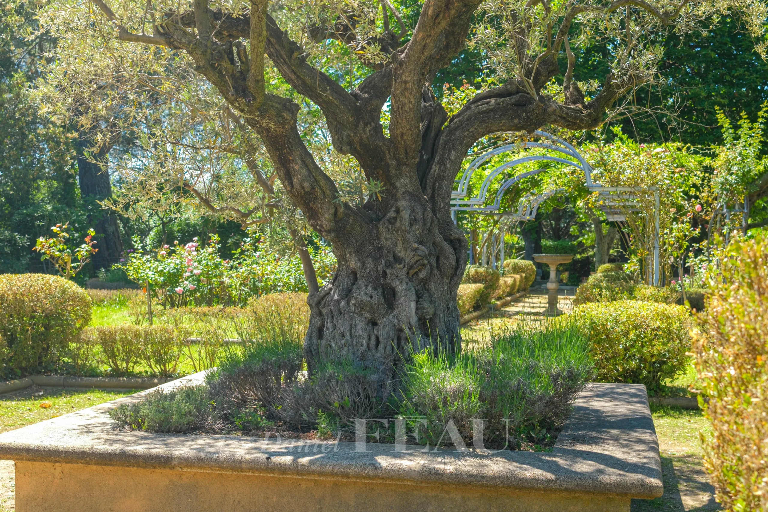 cc5e0a4b3f2903a4ab829059b59a1216_b7f6dff444_4096-original