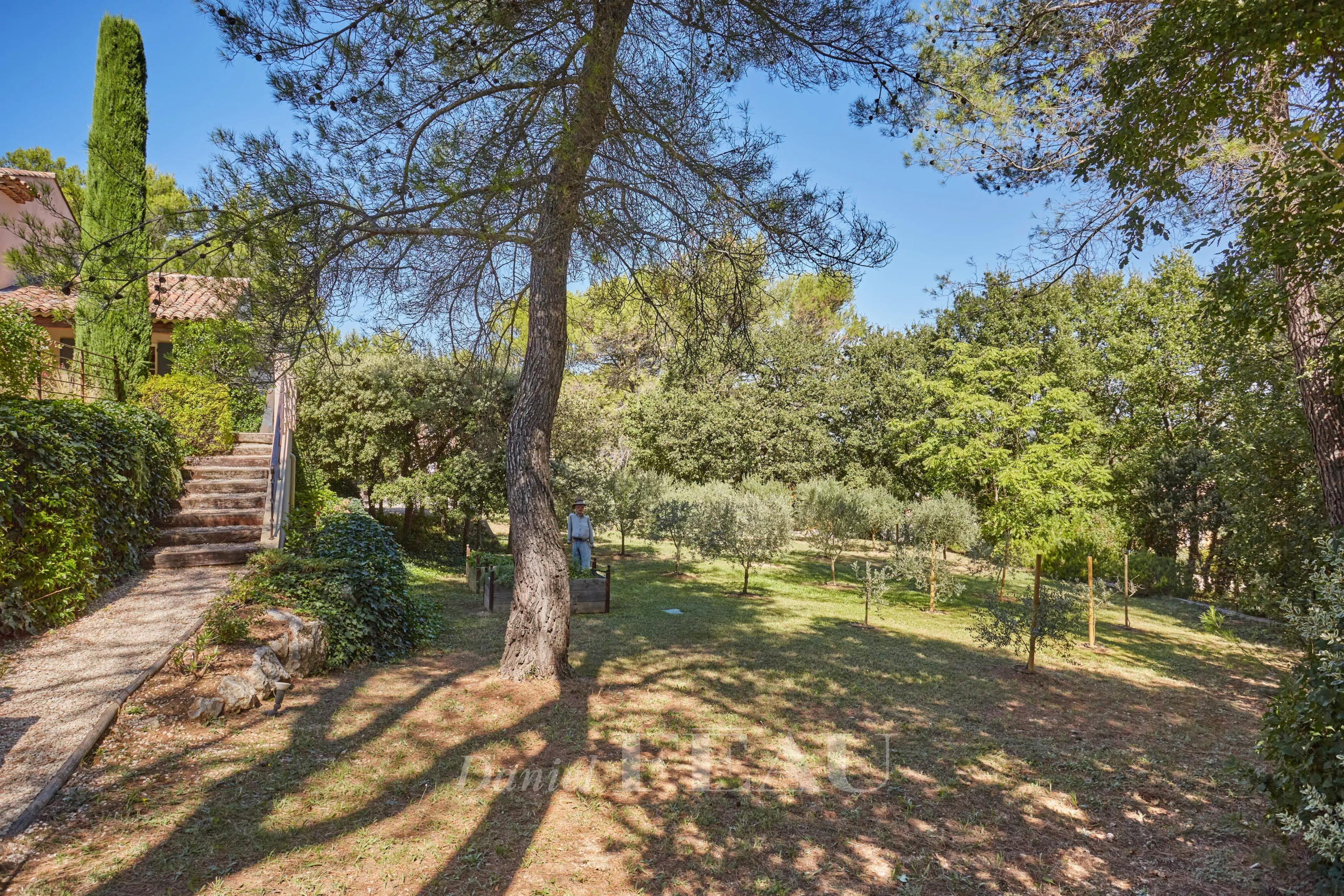 00002e2dc9a6fef5aeb13858aa13b90d_5d57ea9807_4096-original