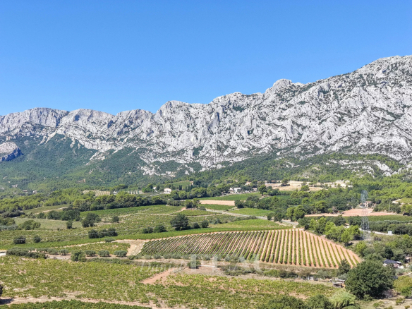 Vue panoramique sur la montagne Sainte-Victoire et les vignes environnantes à Aix-en-Provence.