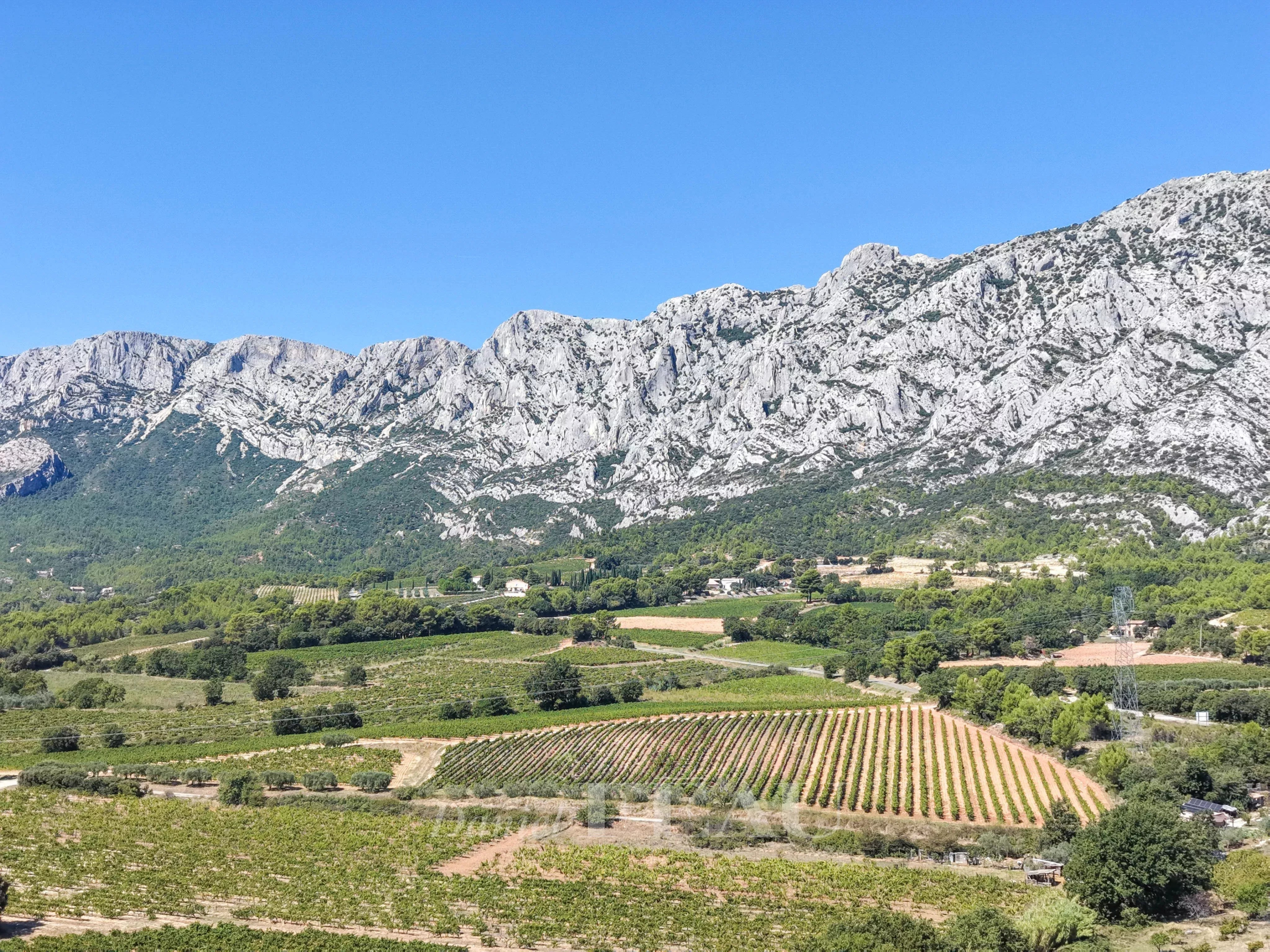 Vue sur la Sainte-Victoire Vue panoramique sur la montagne Sainte-Victoire et les vignes environnantes à Aix-en-Provence.