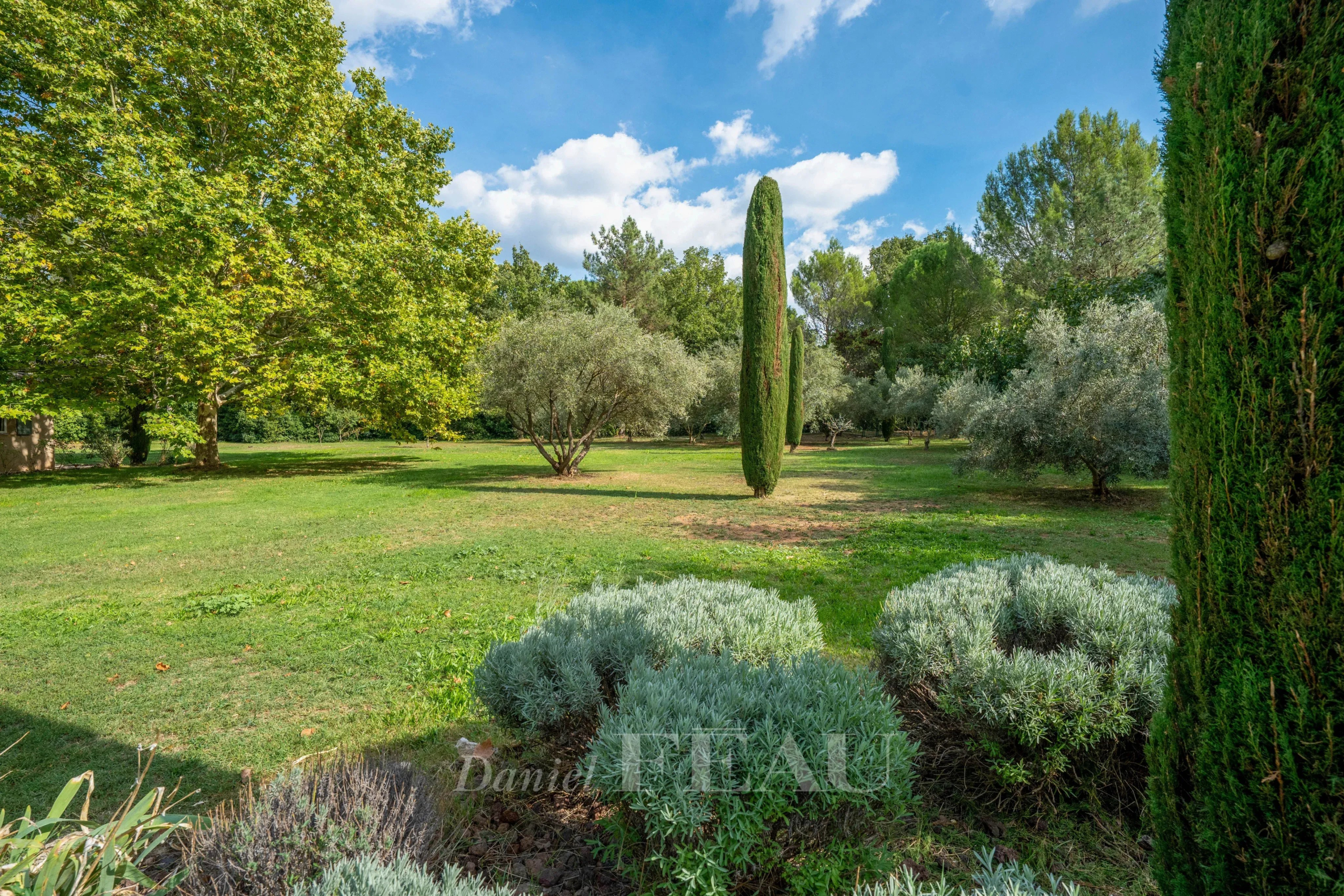 Parc paysager avec arbres et plantes méditerranéennes à Aix-en-Provence.