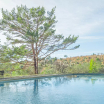 Stone house with swimming pool and exceptional view