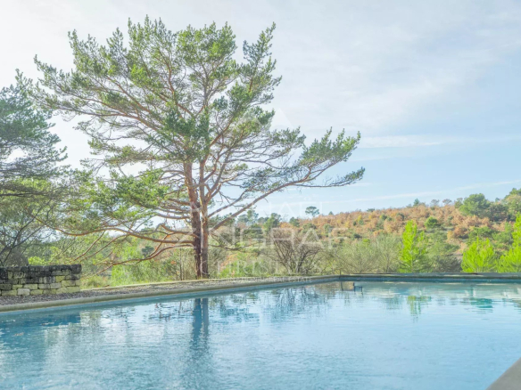 Stone house with swimming pool and exceptional view