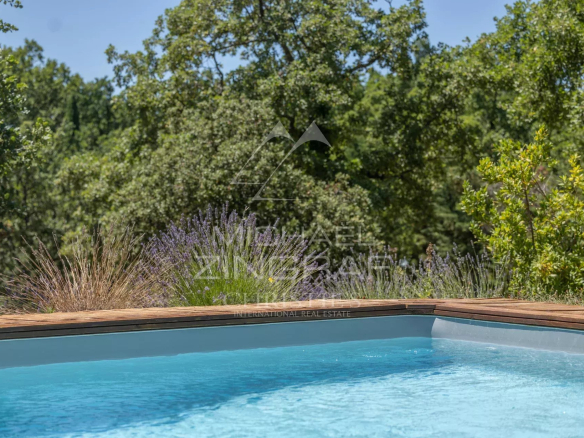 View from the swimming pool of a property in a wooded park in the Luberon.