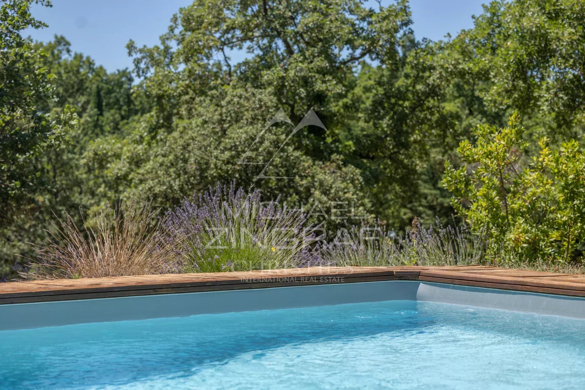 View from the swimming pool of a property in a wooded park in the Luberon.