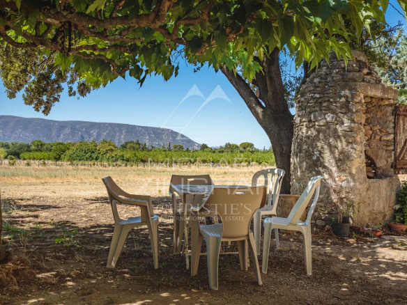 Terrasse avec table et chaises sous un arbre, vue sur le paysage provençal.