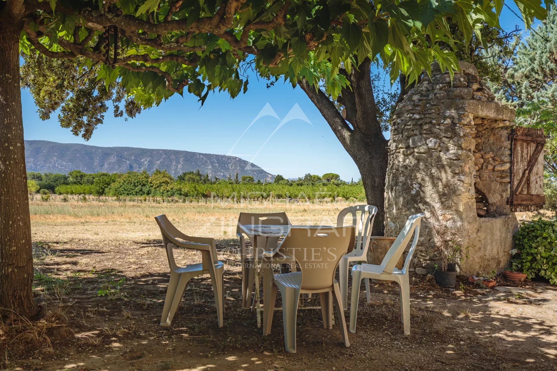 Terrasse avec table et chaises sous un arbre, vue sur le paysage provençal.