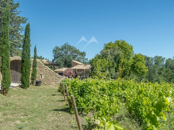 Renovated farmhouse with vines and trees, 2.6 hectares of land in Oppède.