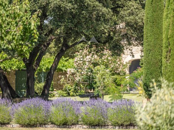 Garden with lavender and trees, exceptional property near L'Isle-sur-la-Sorgue.