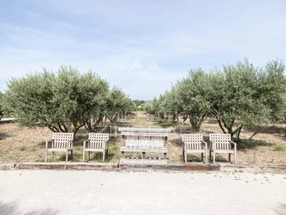 View of a garden with wooden benches and olive trees in Oppède.