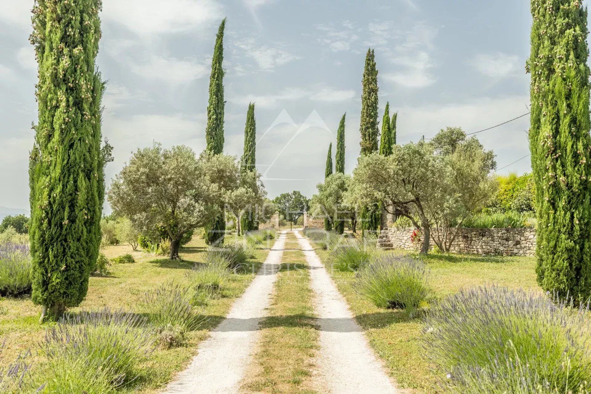 Allée vers une propriété provençale Allée bordée d'arbres et de lavandes menant à une propriété en Provence, Saint-Saturnin-lès-Apt.