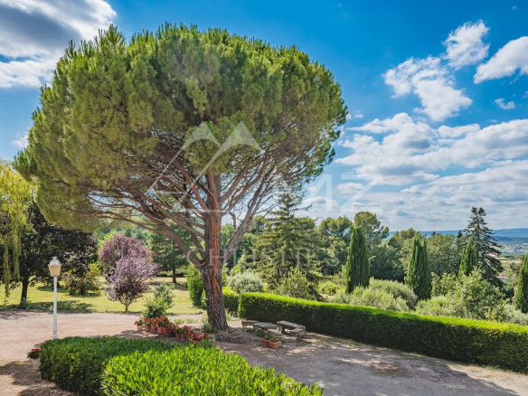 Vue d'une belle demeure avec un grand arbre sur un parc paysagé de 2,5 hectares à Apt.