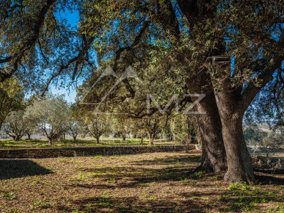 Ancienne ferme du XIXe siècle entourée d'arbres, avec un terrain dégagé à Gordes.